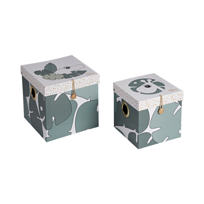 Done By Deer - Tiny Tropics Box Set Large