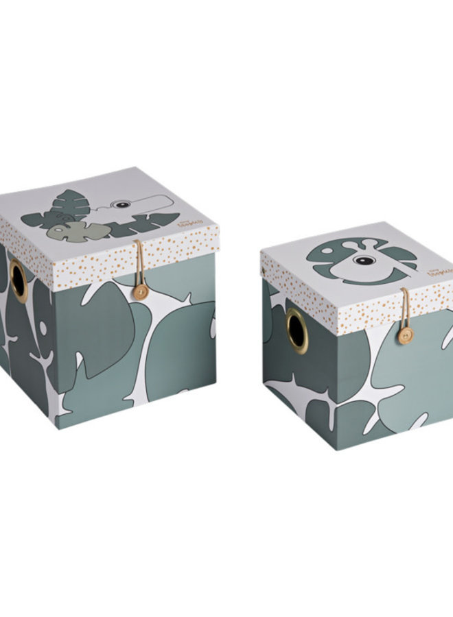 Done By Deer - Tiny Tropics Box Set Large