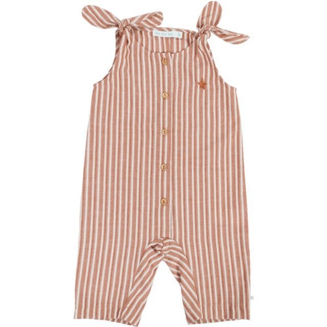 Overall - Stripes and star