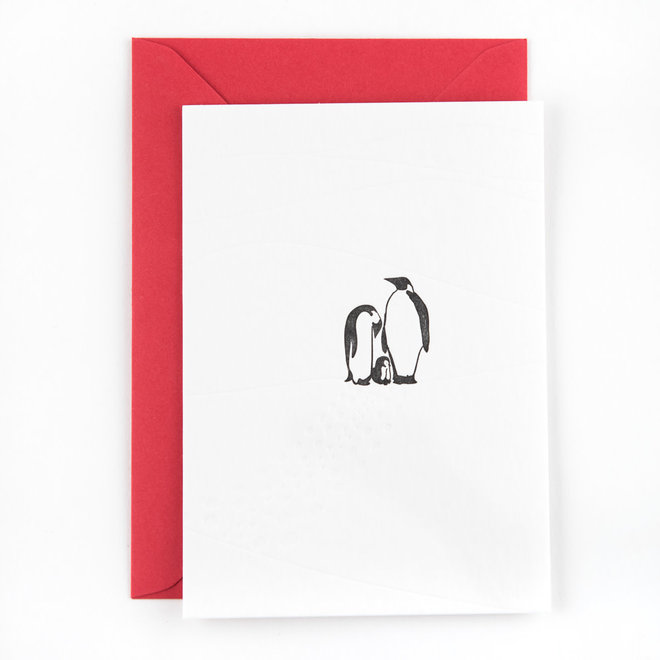 Studio Flash - Kaart - Mountain pinguins