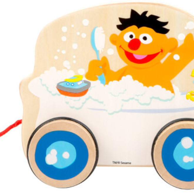 Sesame Street Pull-Along Bath with Duck