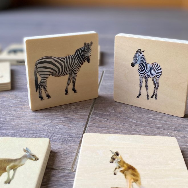 Tickit - Wild animal family match set