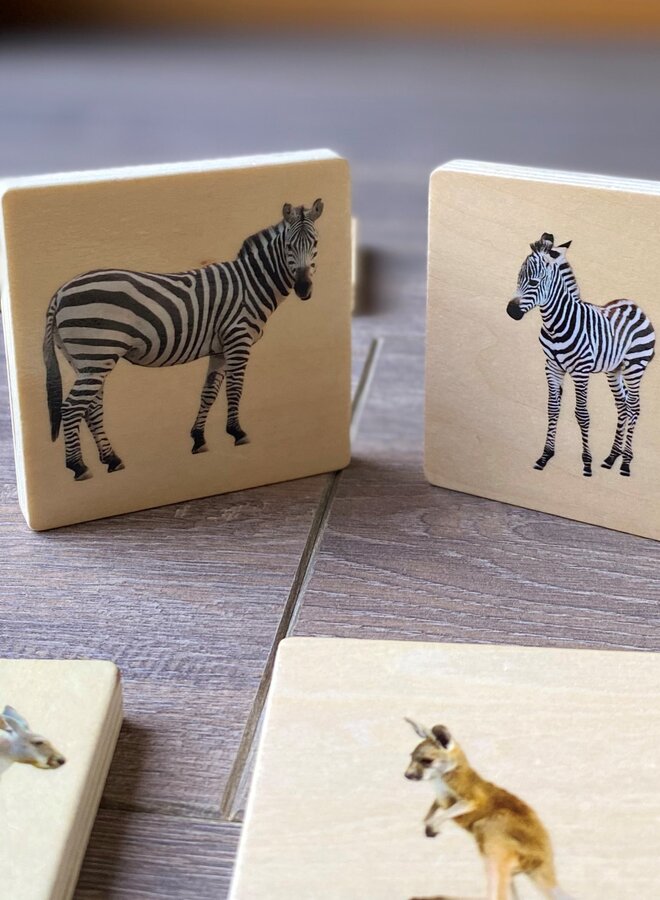 Tickit - Wild animal family match set