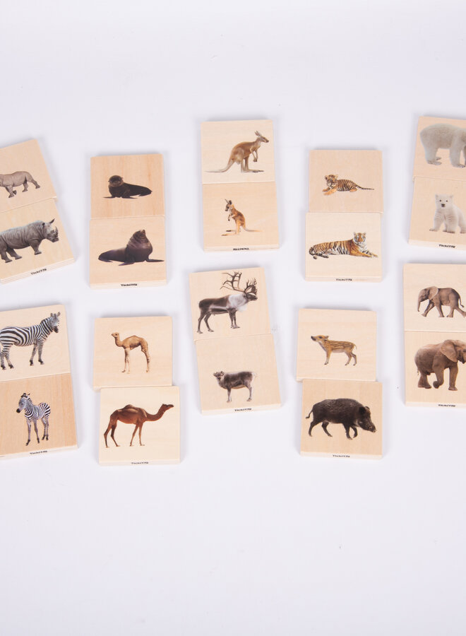 Tickit - Wild animal family match set