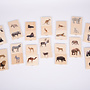 Tickit - Wild animal family match set