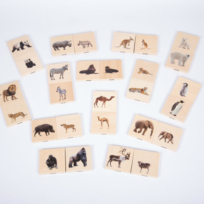 Tickit - Wild animal family match set