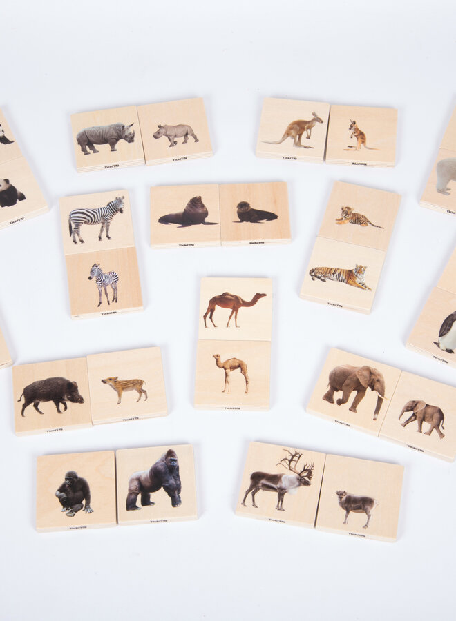 Tickit - Wild animal family match set
