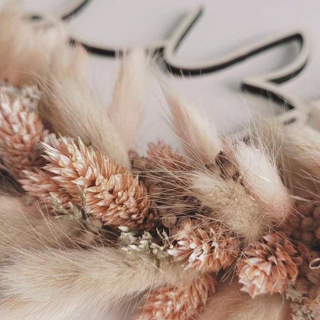 Eloise - Flowerhoop Feline