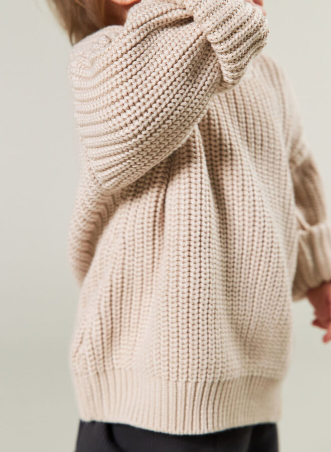 I Dig Denim - Brett knitted sweater cold beige