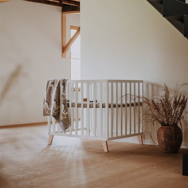 Quax - Box Alix - White