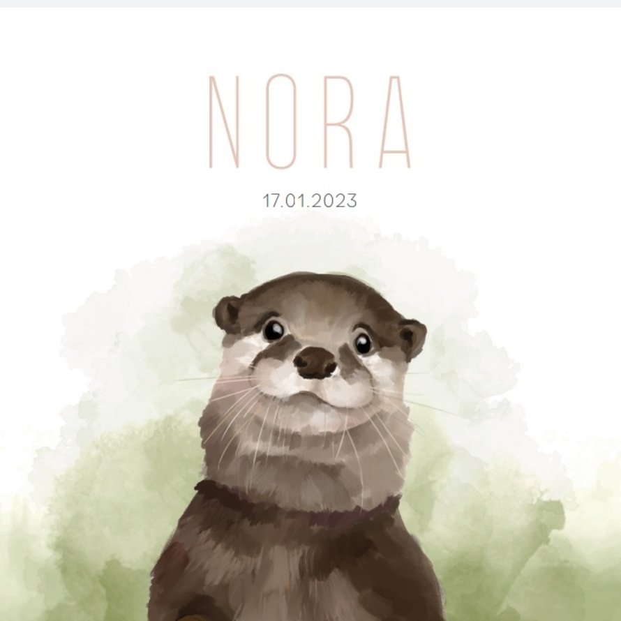 Birth list Nora