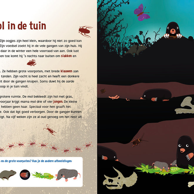 Speuren onder de grond