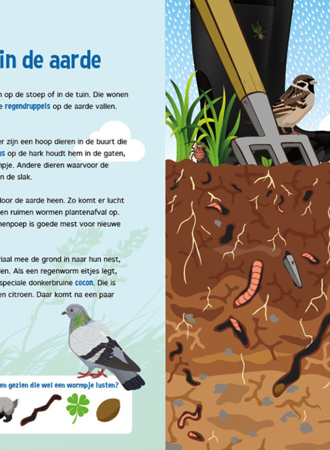 Speuren onder de grond - Zoekboek