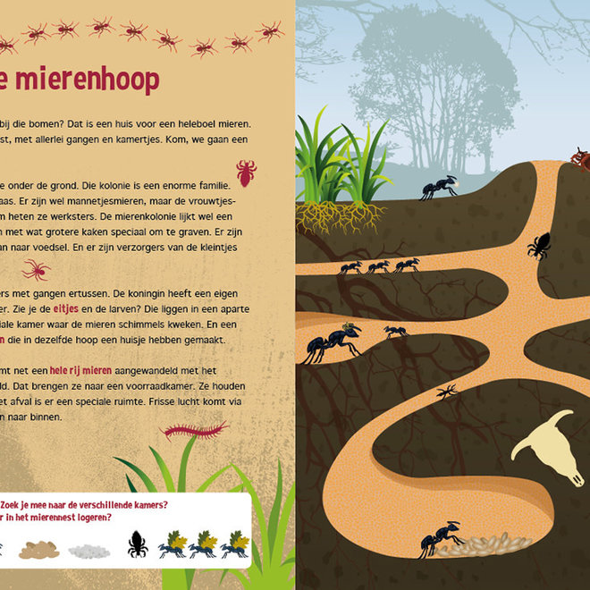 Speuren onder de grond