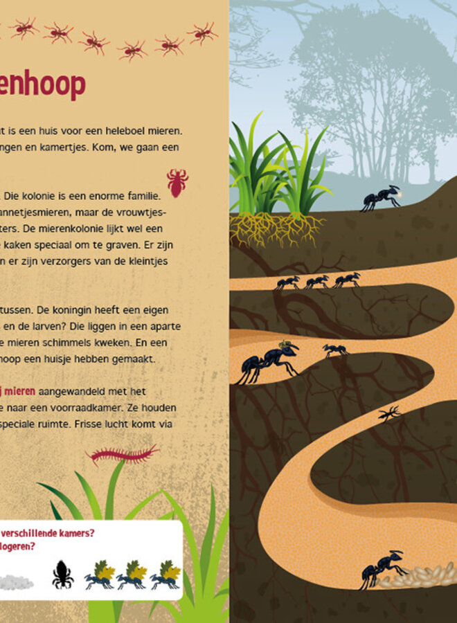 Speuren onder de grond