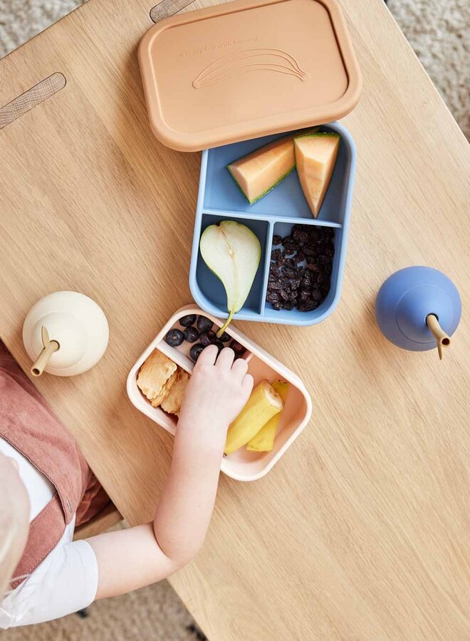 OYOY - Yummy Lunch Box - Small Rose / Fudge