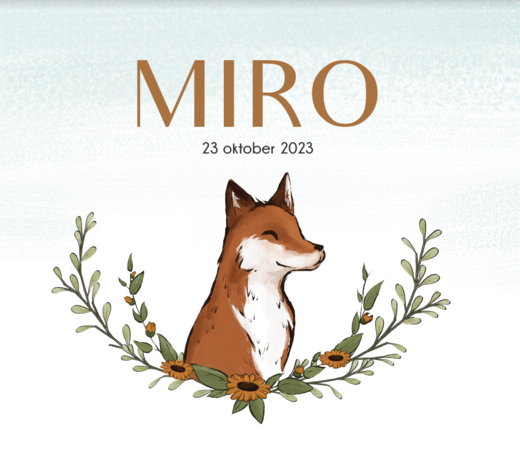 Liste de naissance Miro