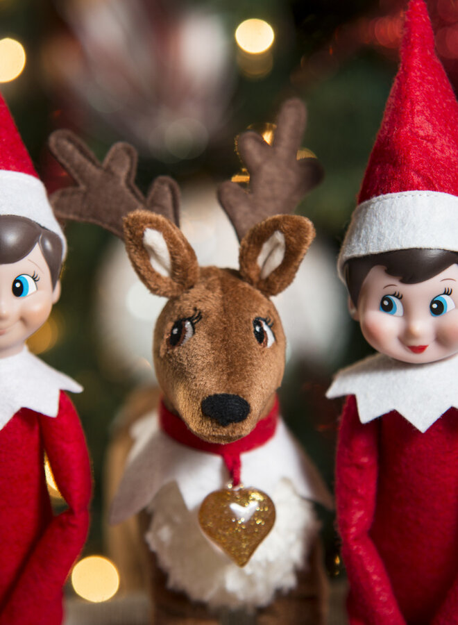 The Elf on the Shelf Cadeau set: MEISJE