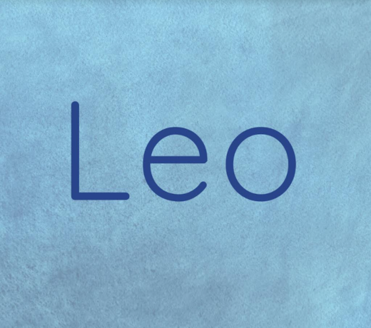 Geboortelijst Leo