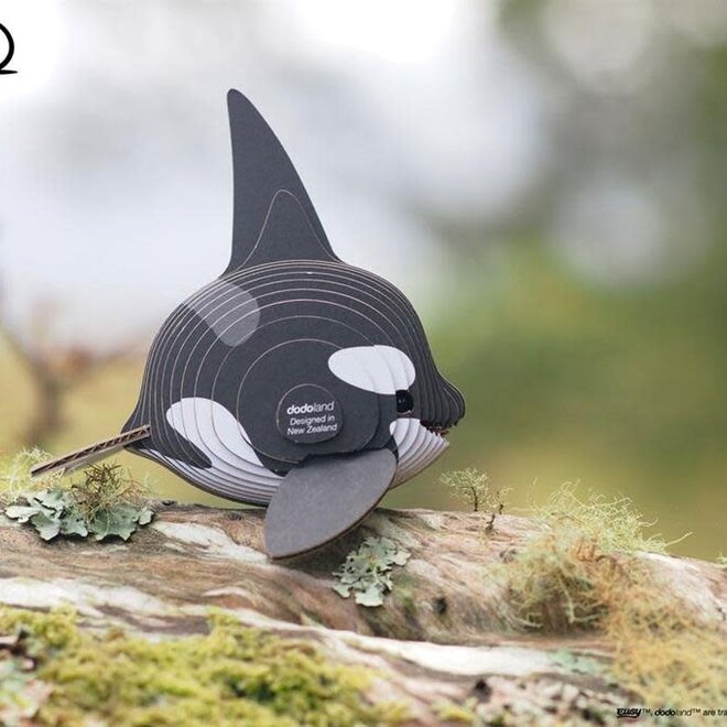 Eugy 3D Model: ZEEDIER / ORKA