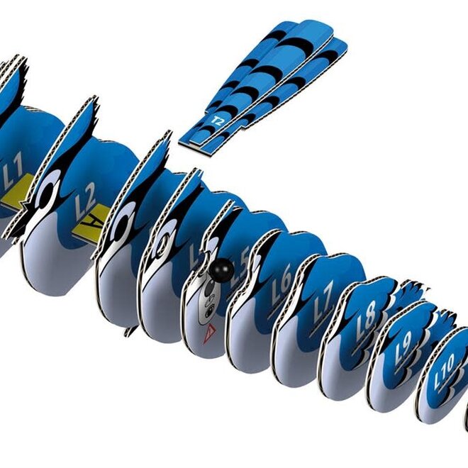 Eugy 3D Model: Blue Jay