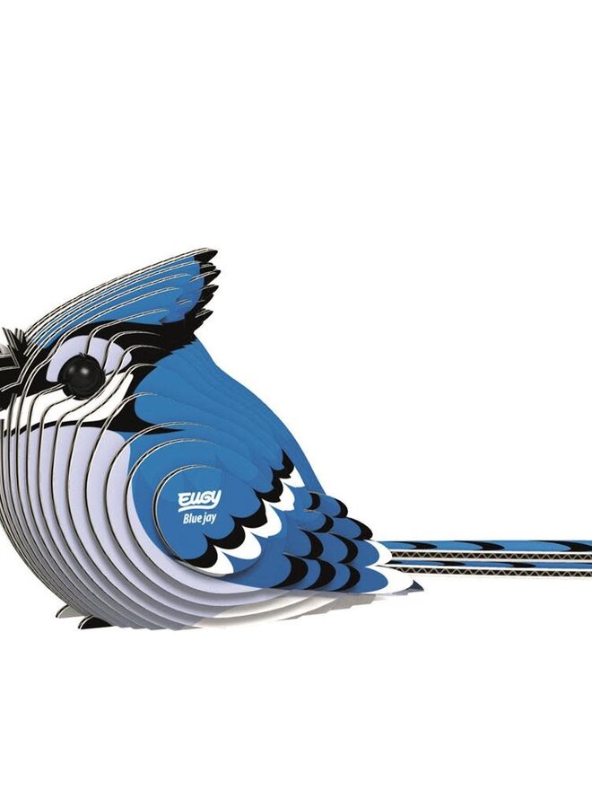 Eugy 3D Model: Blue Jay