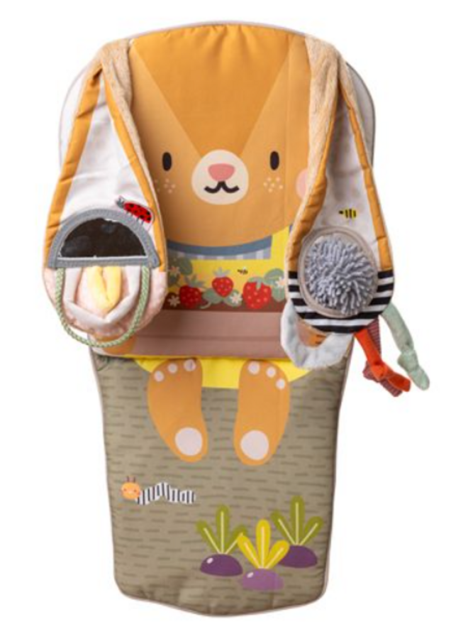 Taf Toys - Bunny Play & kick car toy