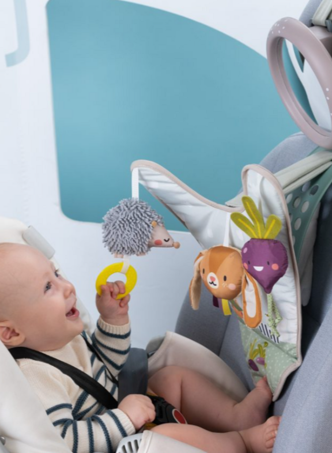 Taf toys - Urban in car Activity center