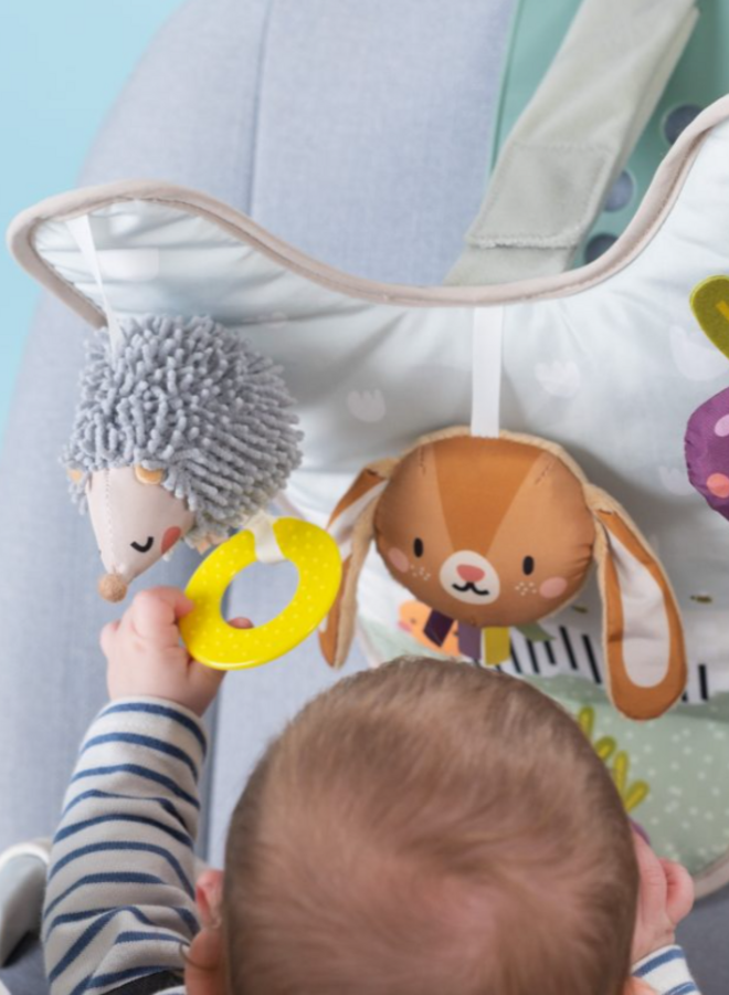Taf toys - Urban in car Activity center