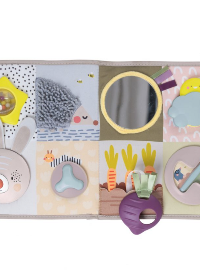 Taf Toys - Developmental activity center