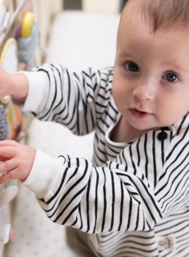 Taf Toys - Developmental activity center