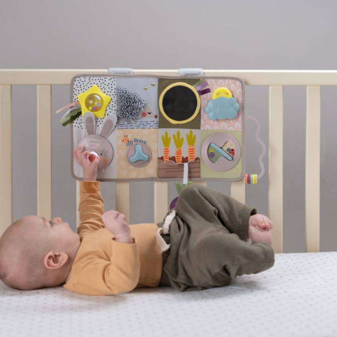 Taf Toys - Developmental activity center