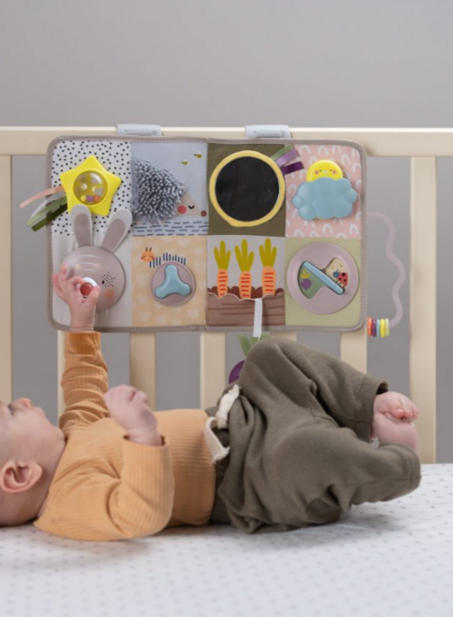 Taf Toys - Developmental activity center