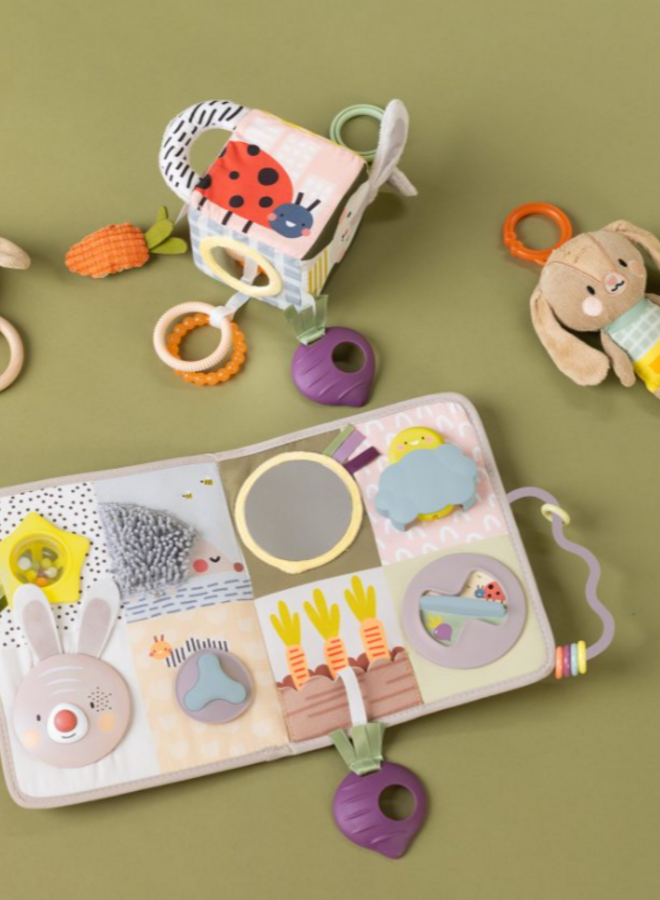 Taf Toys - Developmental activity center