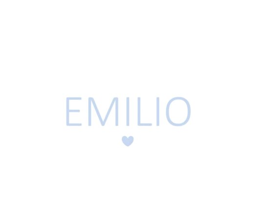 Liste de naissance Emilio