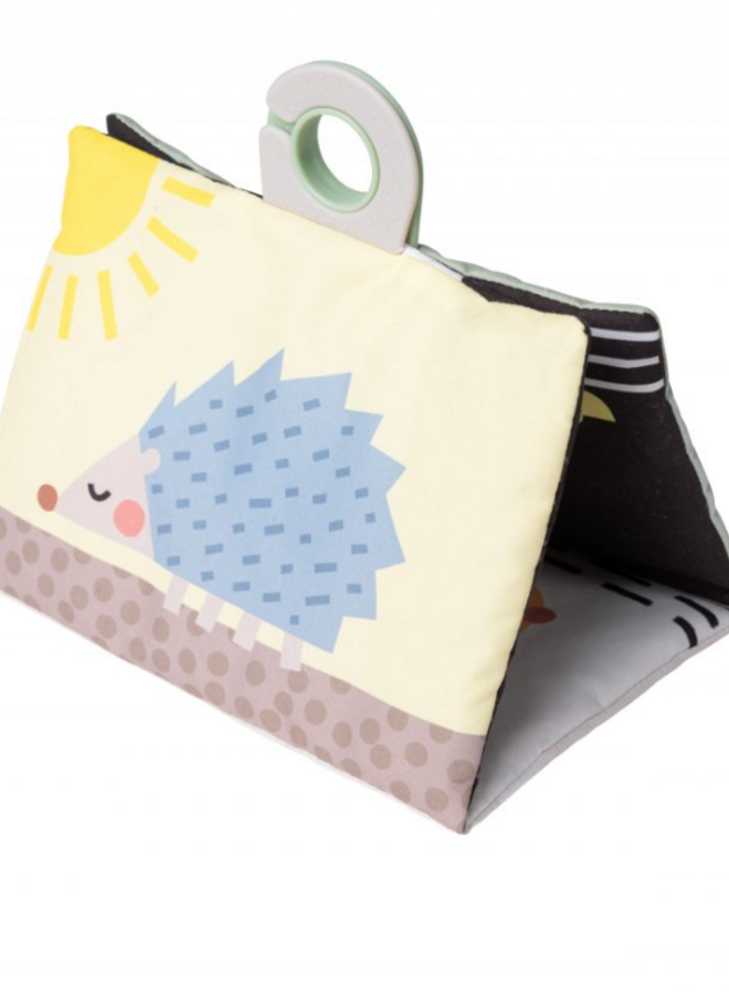 Taf Toys - Tummy time Essentials kit