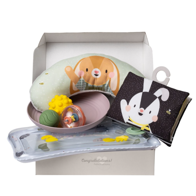Taf Toys - Tummy time Essentials kit