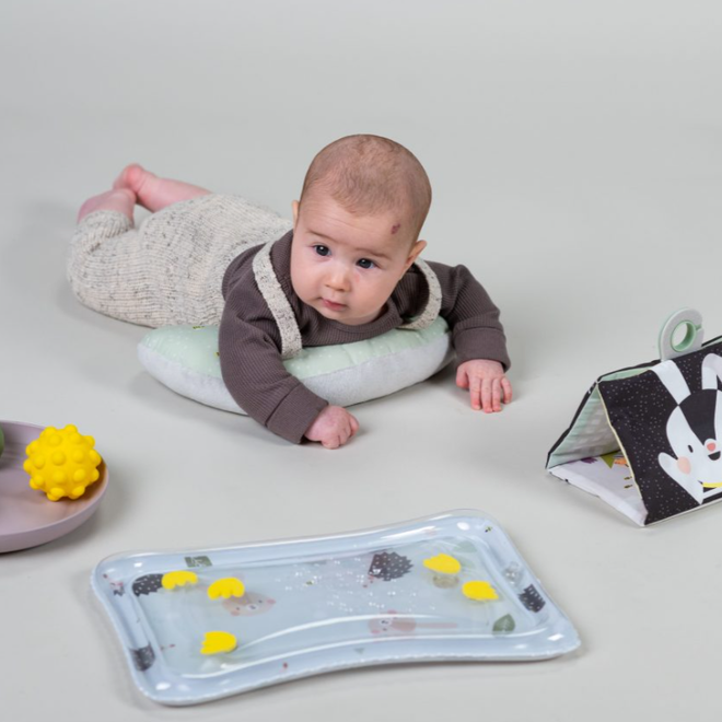 Taf Toys - Tummy time Essentials kit