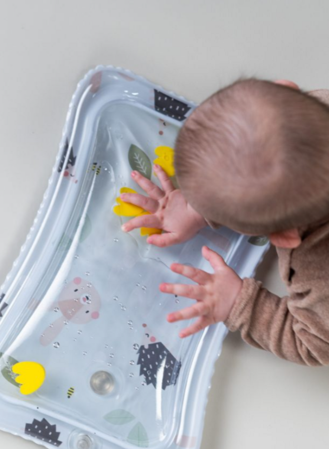 Taf Toys - Tummy time Essentials kit