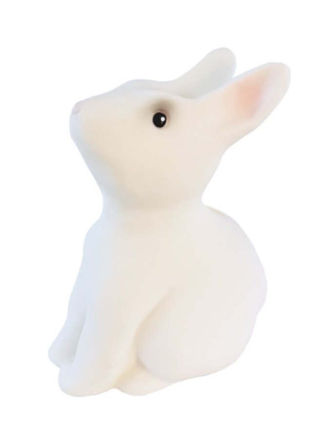 Egmont Toys - Spaarpot konijn