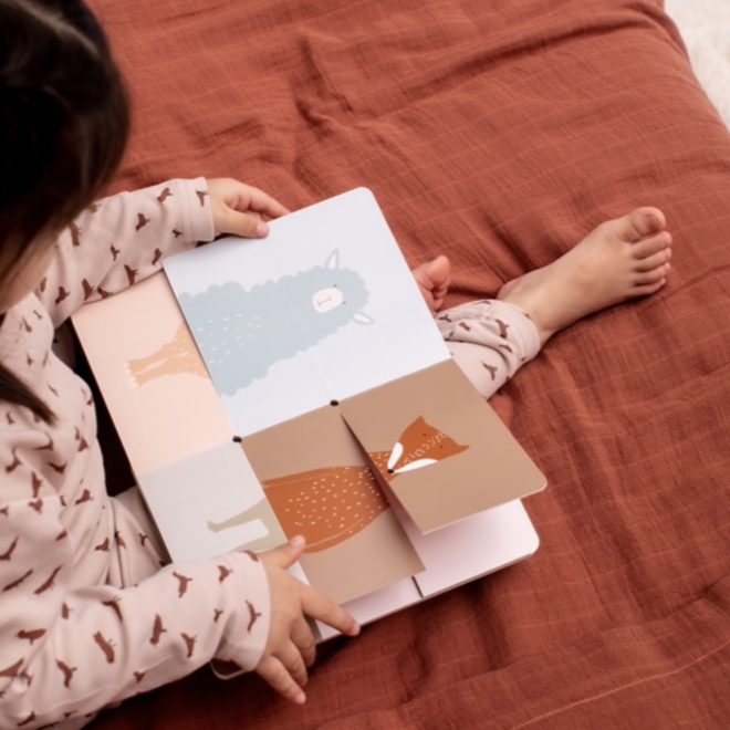 Trixie - Flip-Flap boek