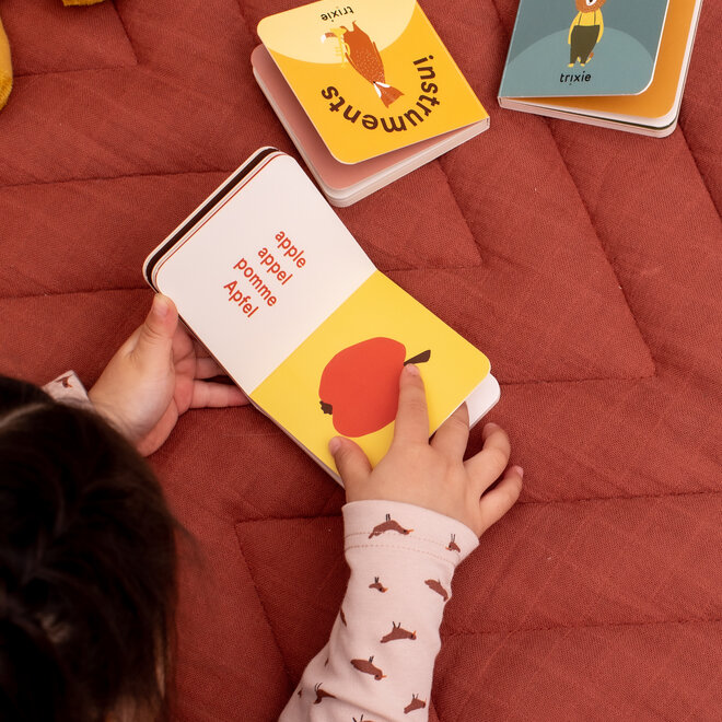 Trixie - Kleine bibliotheek - Kleding / fruit / voertuigen / instrumenten