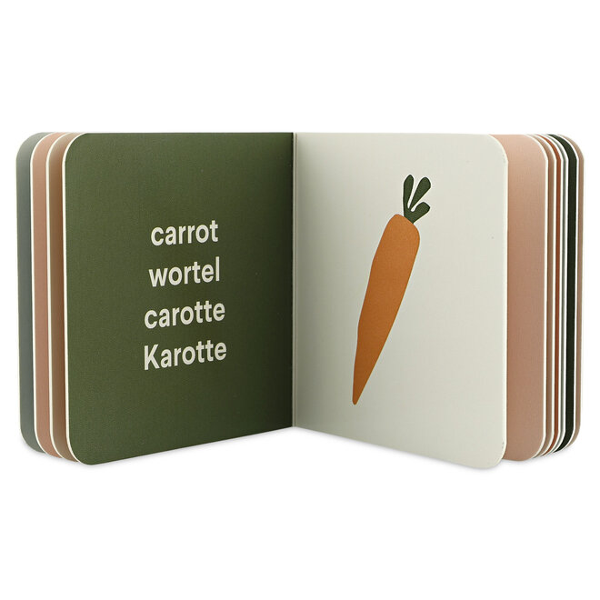 Trixie - Kleine bibliotheek - Kleding / fruit / voertuigen / instrumenten