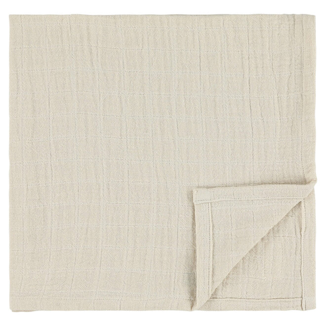 Trixie - Tetradoeken 55x55 cm  Lively Lion (3 pack)