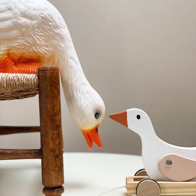 Egmont Toys - Eend die naar beneden kijkt