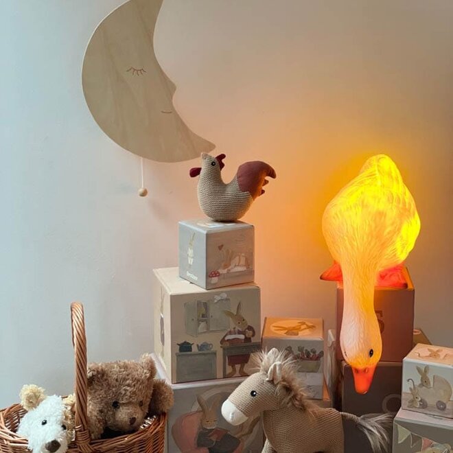 Egmont Toys - Eend die naar beneden kijkt