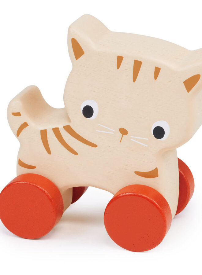 Mentari - Kitten op wielen