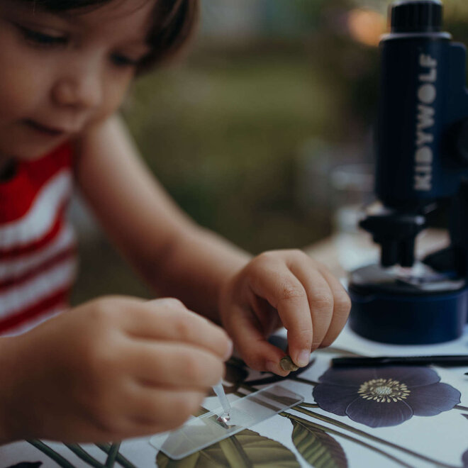 Kidywolf - KIDYMICROSCOPE