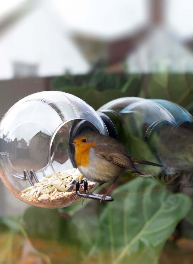 Birdfeeder For the Window