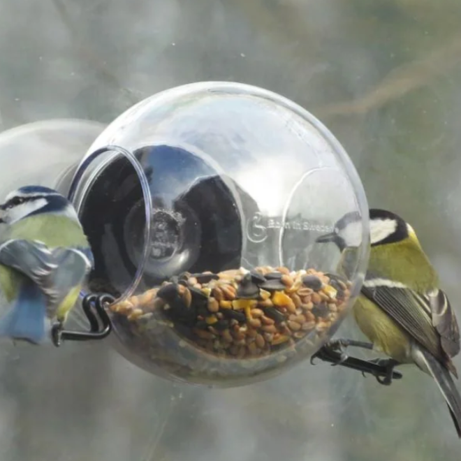 Birdfeeder For the Window